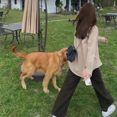 天下第一丑