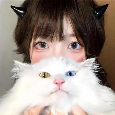 龙之信条
