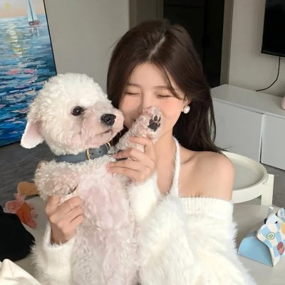 羔羊医生